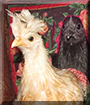 Harvest Moon and Archangel the Chickens, the Pets of the Day