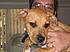 Click image for larger version. 

Name:	tula as a baby in august.jpg 
Views:	49 
Size:	865.7 KB 
ID:	25068