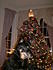 Click image for larger version. 

Name:	Christmas 2006 005.jpg 
Views:	35 
Size:	786.2 KB 
ID:	32060