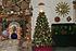 Click image for larger version. 

Name:	ChristmasTree07a.jpg 
Views:	42 
Size:	1.73 MB 
ID:	32979
