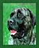 Click image for larger version. 

Name:	Domesticated 0978 Bull Mastiff 16x20 gw unsized.jpg 
Views:	156 
Size:	80.8 KB 
ID:	34436