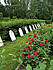 Click image for larger version. 

Name:	Graves-of-French-soldiers.jpg 
Views:	97 
Size:	189.6 KB 
ID:	36362