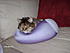 Click image for larger version. 

Name:	Pidge lovin' the new pillow.JPG 
Views:	110 
Size:	68.4 KB 
ID:	40568