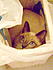 Click image for larger version. 

Name:	Lucy in bathroom basket2.jpg 
Views:	338 
Size:	662.2 KB 
ID:	40814