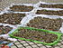 Click image for larger version. 

Name:	drying chopped fish.JPG 
Views:	68 
Size:	671.7 KB 
ID:	44722