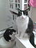Click image for larger version. 

Name:	crunch and whiskers in bathroom.jpg 
Views:	36 
Size:	69.1 KB 
ID:	45633