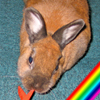 Miss Hoppy, chewing a piece of artificial "carrot"