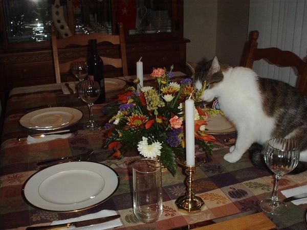 Riley making sure the table is perfect