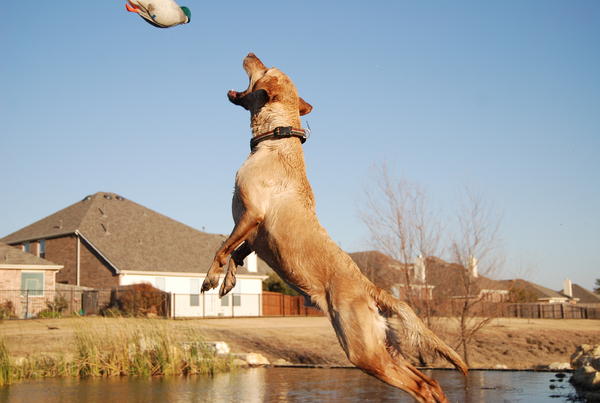 Practicing Big Air!