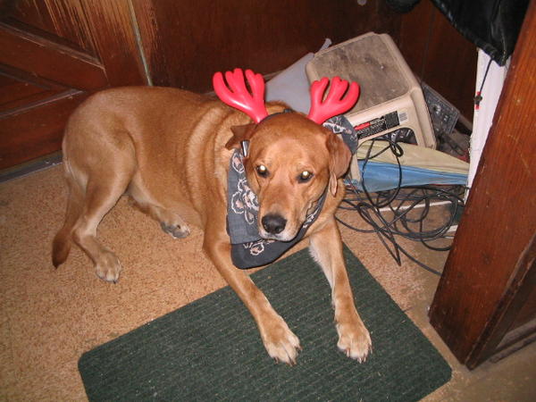 Reindeer girl in 2004