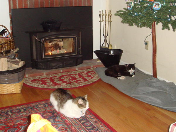 Enjoying the woodstove