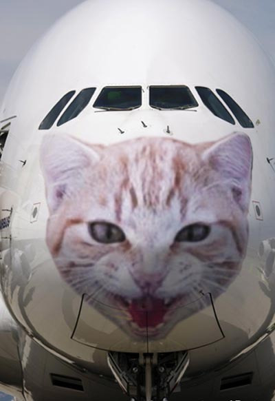 catplane