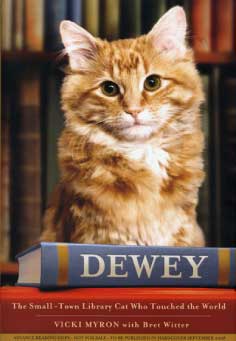 Dewey: the Small Town Library Cat who touched the World.  My favorite book about cats. It is soon to be a movie.
