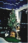 Two of our kitties at Christmas time under the tree in 2002 or 2003.   The one on the right was our Maine Coon Cat who belonged to our son.  She was...