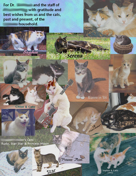 Collage for vet when she retired.  In the collage, I left a space for signatures.  For this online album, I've smudged out names.    Three cats at the lower left are/were a friend's.