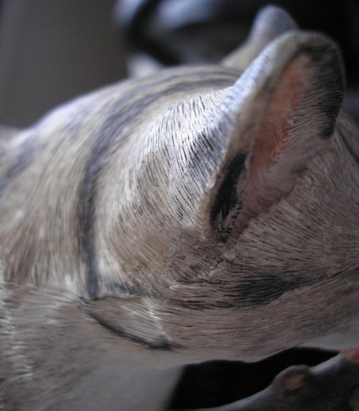Look at the detail on the ear folds.