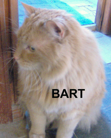 BART 26 pounds of love.