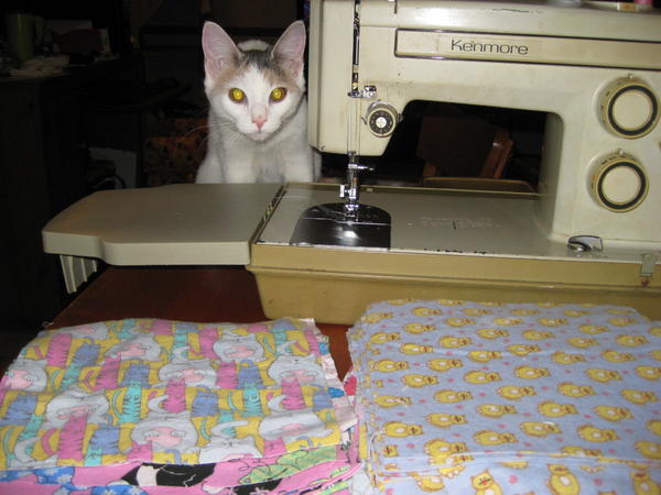 Overseeing Mommie working on a project. Making sure I di it right and she oversaw it from beginning to end. 1/2011