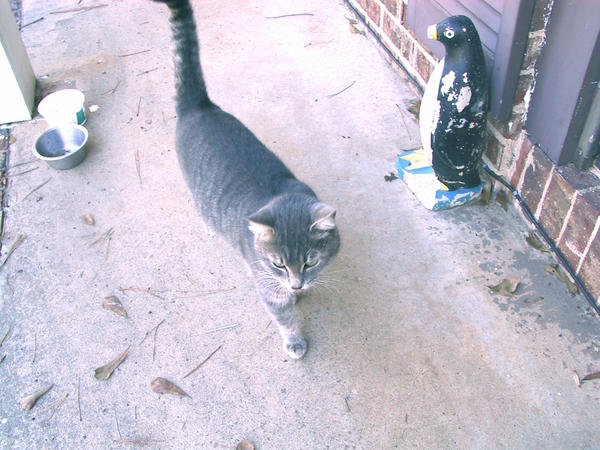 Tab near front door, 2006