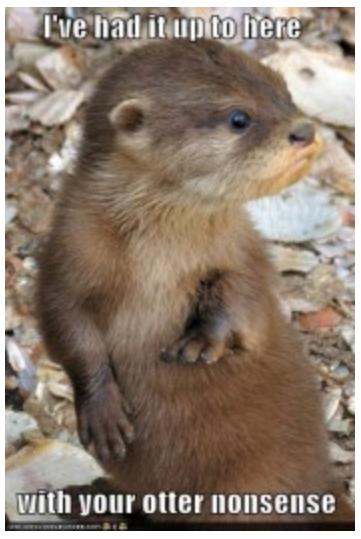 Otter Nonsense