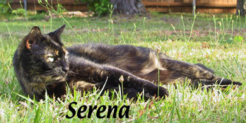 Serena in the yard