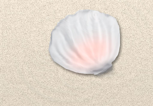 Seashell