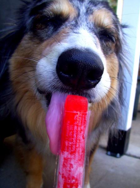 She loves licking the Ice pops
