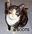 Click image for larger version. 

Name:	BOOTS1.jpg 
Views:	51 
Size:	112.0 KB 
ID:	53283