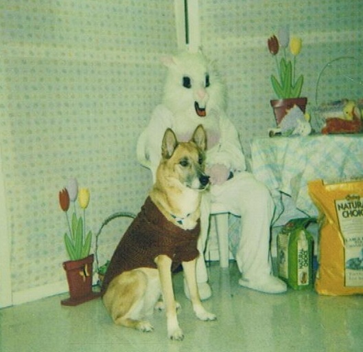 Cheyenne with the Easter Bunny 2006
