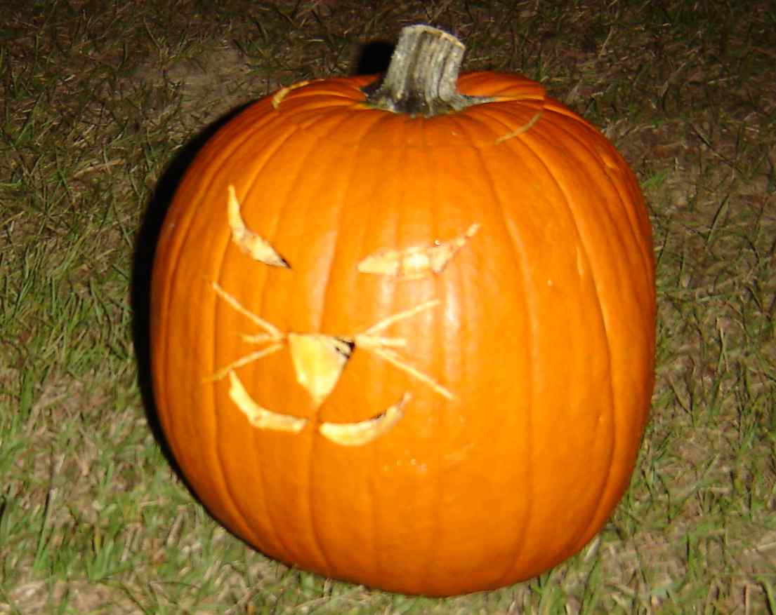 pumpkinkitty