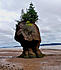 Click image for larger version. 

Name:	Bay of Fundy.jpg 
Views:	79 
Size:	52.7 KB 
ID:	45646