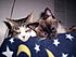 Click image for larger version. 

Name:	54 Tired cats 3.JPG 
Views:	93 
Size:	197.1 KB 
ID:	38168