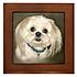 Click image for larger version. 

Name:	sparky portrait.jpg 
Views:	48 
Size:	46.1 KB 
ID:	56078