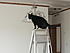 June 2009 - See Mom, I can climb the ladder too!!