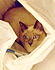 Click image for larger version. 

Name:	Lucy in bathroom basket3.jpg 
Views:	101 
Size:	472.7 KB 
ID:	40517