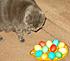 Click image for larger version. 

Name:	Munchie Easter 09.jpg 
Views:	55 
Size:	52.7 KB 
ID:	42157