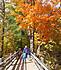 Click image for larger version. 

Name:	Gatineau Park.jpg 
Views:	79 
Size:	117.5 KB 
ID:	45644
