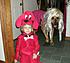 Click image for larger version. 

Name:	anna and bart Halloween 2002.jpg 
Views:	113 
Size:	69.3 KB 
ID:	40761