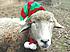 Click image for larger version. 

Name:	2007 Christmas Lamby.jpg 
Views:	81 
Size:	180.4 KB 
ID:	38990