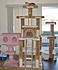 Click image for larger version. 

Name:	Cats On New Cat Tree 005-cropped.jpg 
Views:	49 
Size:	68.7 KB 
ID:	45888