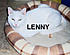 LENNY051208