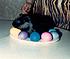 Piggy on the egg plate.  Every easter we'd do up an egg plate with the colored eggs.  After Piggy came into the home I realized the plate was just...