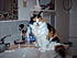 Click image for larger version. 

Name:	Puddy rules the sink.JPG 
Views:	74 
Size:	86.5 KB 
ID:	40002