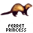 Fidget the Ferret's Avatar