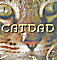 CatDad's Avatar