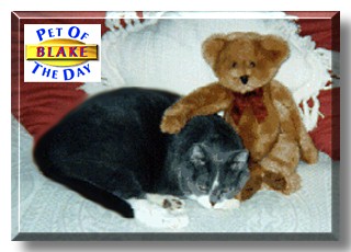 Blake, the Pet of the Day