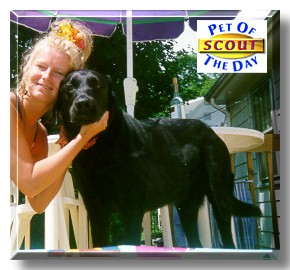 Scout, the Pet of the Day