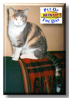 Minue, the Pet of the Day