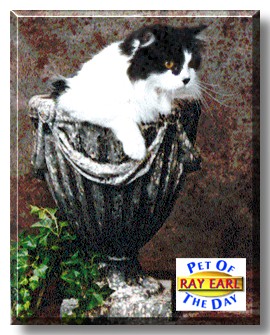 Ray Earl, the Pet of the Day