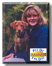 Hannah, the Pet of the Day